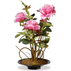 Rose Floral Arrangement in Pot