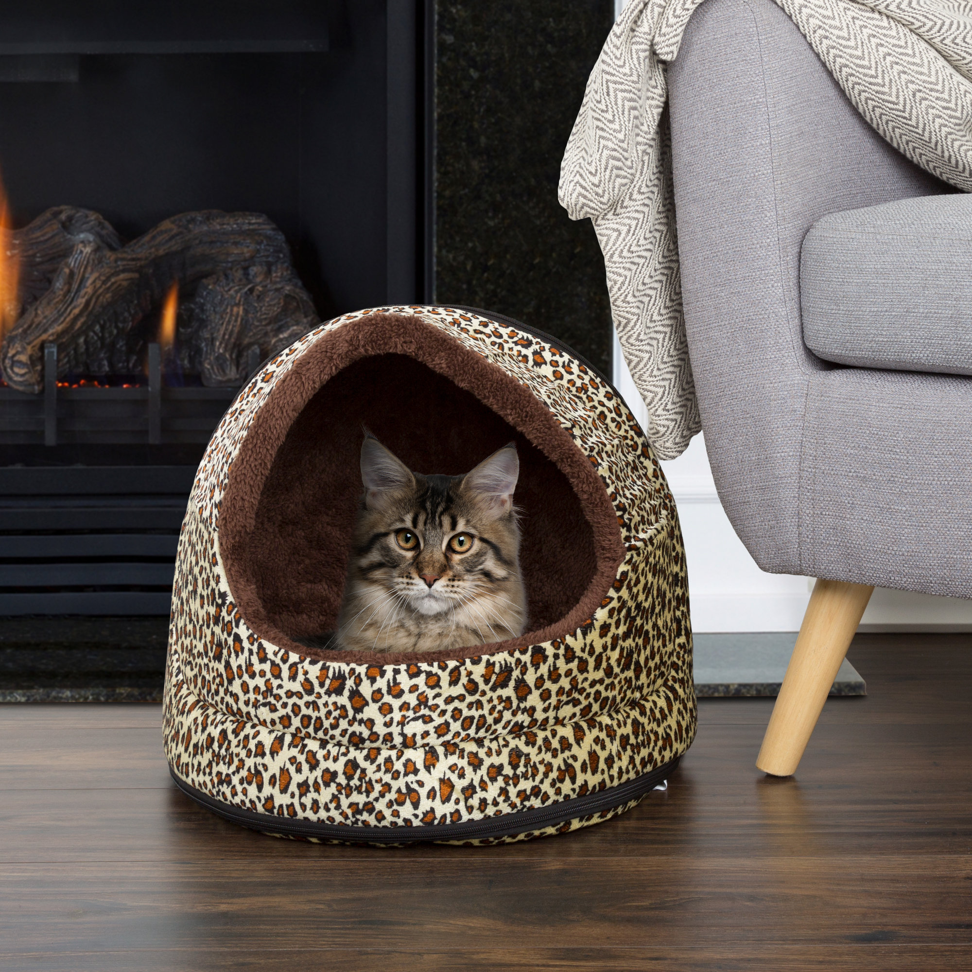 Petmaker Cozy Canopy Pet Bed Wayfair