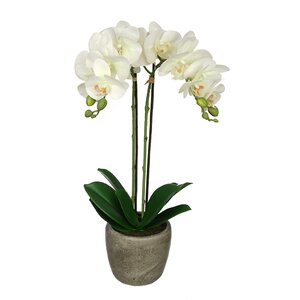 Synthetic Fabric Double-Stem Orchid
