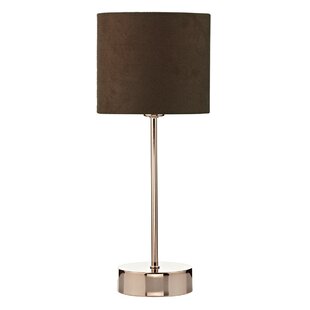 Copper Light | Wayfair.co.uk