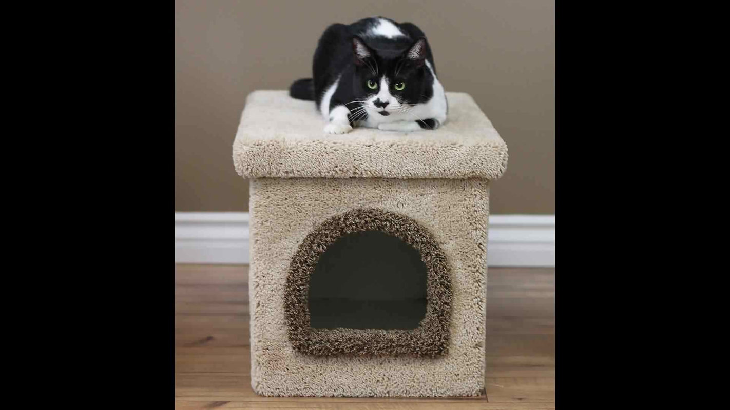 New Cat Condos Premier Litter Box Enclosure & Reviews Wayfair