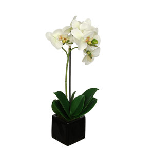 Artificial Baby Orchid Flowers in Pot