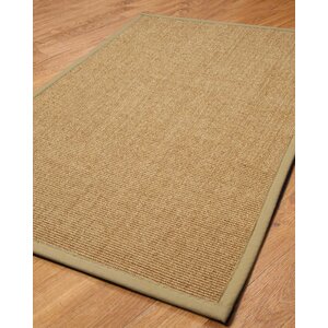 Albers Area Rug