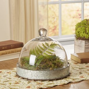 Glass Cloche/Water Globe