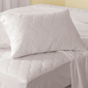 Antibacterial Pillow Protector (Set of..