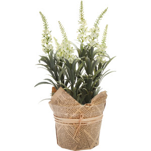 Nepeta Faux Floral Arrangement (Set of 2)