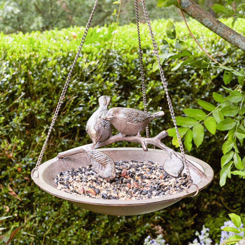 Birch Lane™ Lovebird Tray Bird Feeder & Reviews Birch Lane