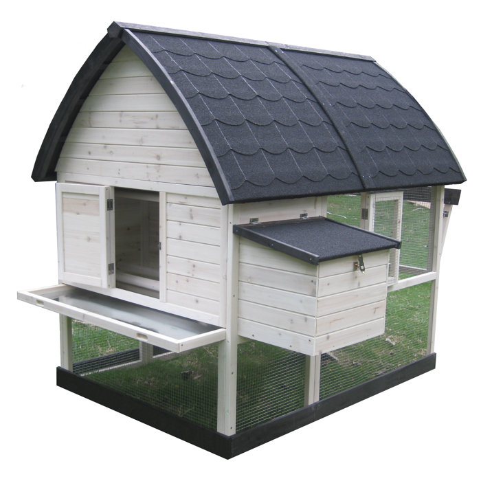 Innovation Pet Chicken Coop Ashishtomer