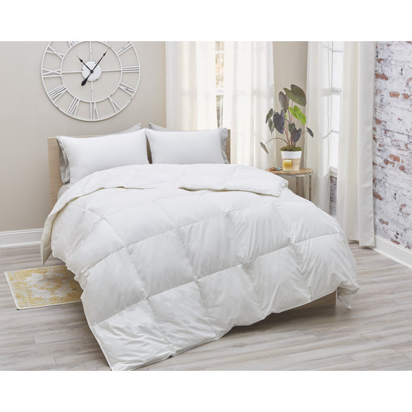 Alwyn Home All Season Duvet Insert Reviews Wayfair