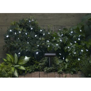 Solar 30-Light 8 ft. Fairy String Lights