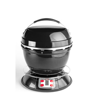Wood Fired Grill