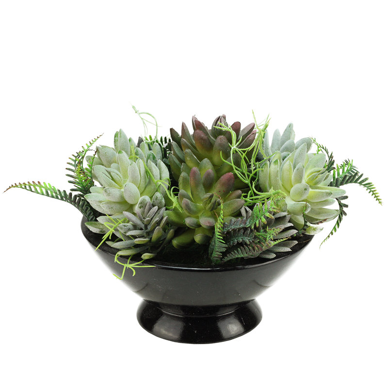 Northlight Artificial Mixed Succulent Desk Top Plant in a Bowl Pot