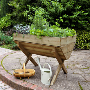 Raised Garden Trough Wayfair Co Uk