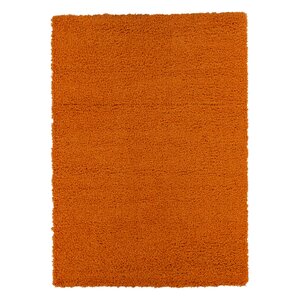 Cozy Orange Indoor/Outdoor Area Rug