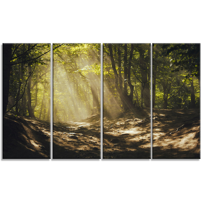 Sun Rays Through Green Trees 4 Piece Photographic Print On Wrapped Canvas Set