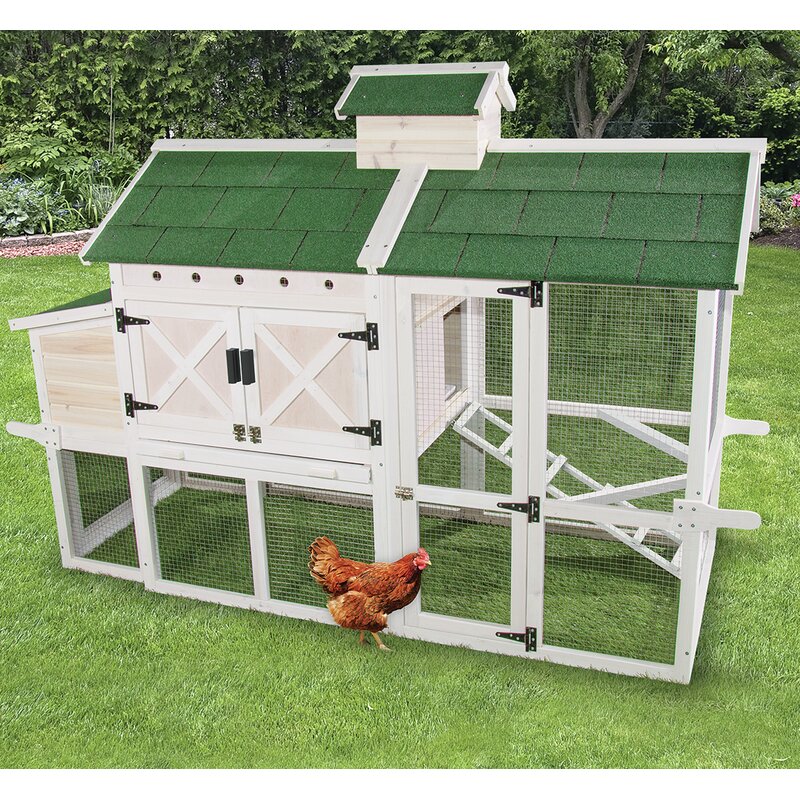 Ware Manufacturing Premium Chicken Coop with Roosting Bar & Reviews ...