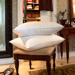 Down Pillow (Set of 2) by Downlite