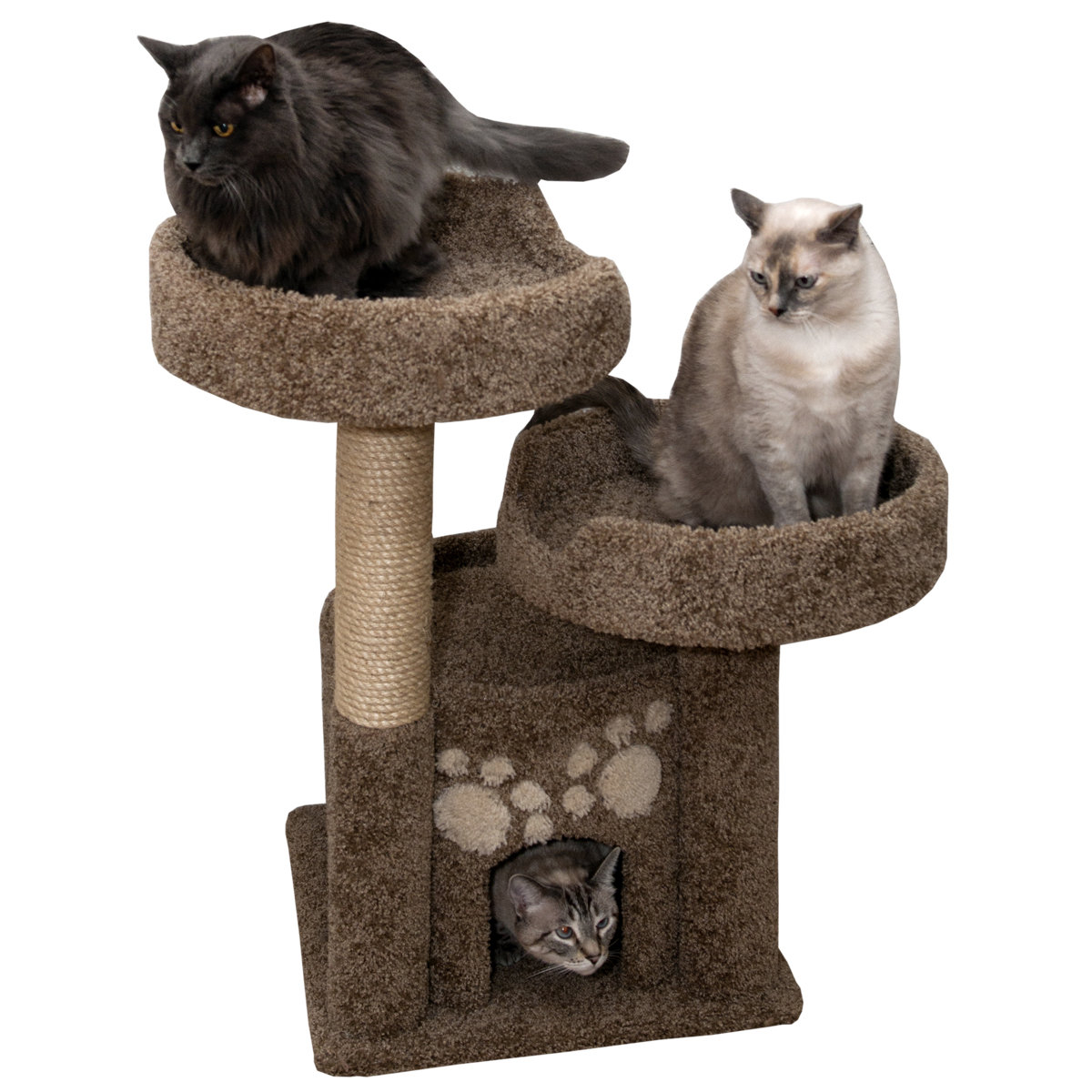 New Cat Condos 34" Premier Double Perch Solid Wood Cat Condo & Reviews