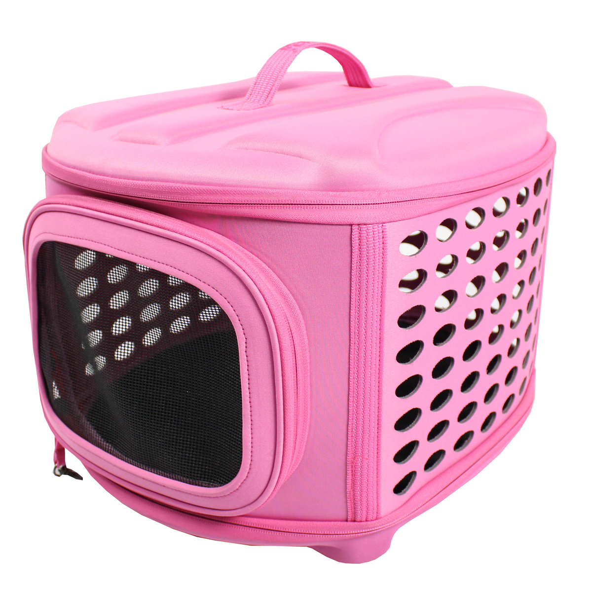 Iconic Pet Pet Carrier/Crate & Reviews Wayfair