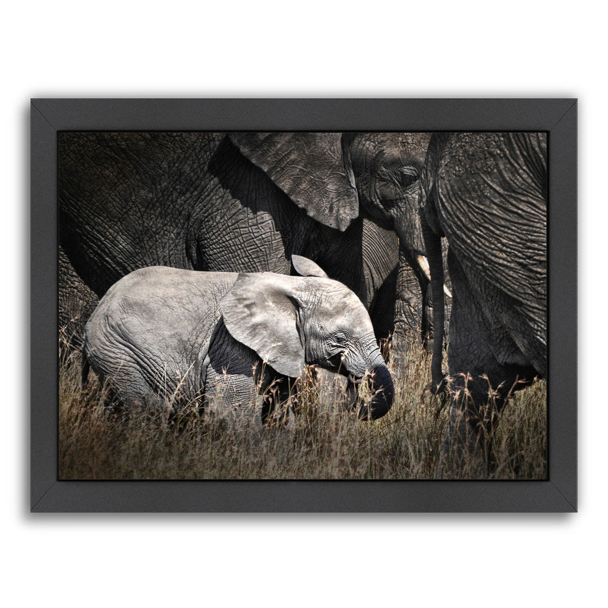 East Urban Home 'Baby Elephant I' Framed Photographic Print Wayfair.ca