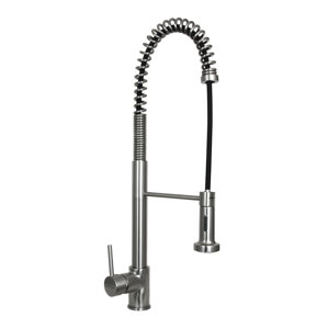 Dyconn Faucet Huron Single Handle Kitchen Faucet