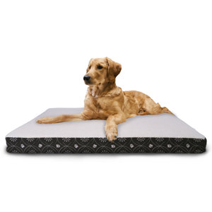 Deluxe Paw Decor Memory Foam Dog Bed