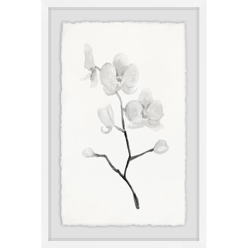 White Orchid Branch Ii Framed Watercolor Painting Print Joss Main