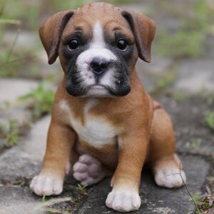 Boxer Puppy Statue