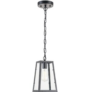 1-Light Foyer Pendant