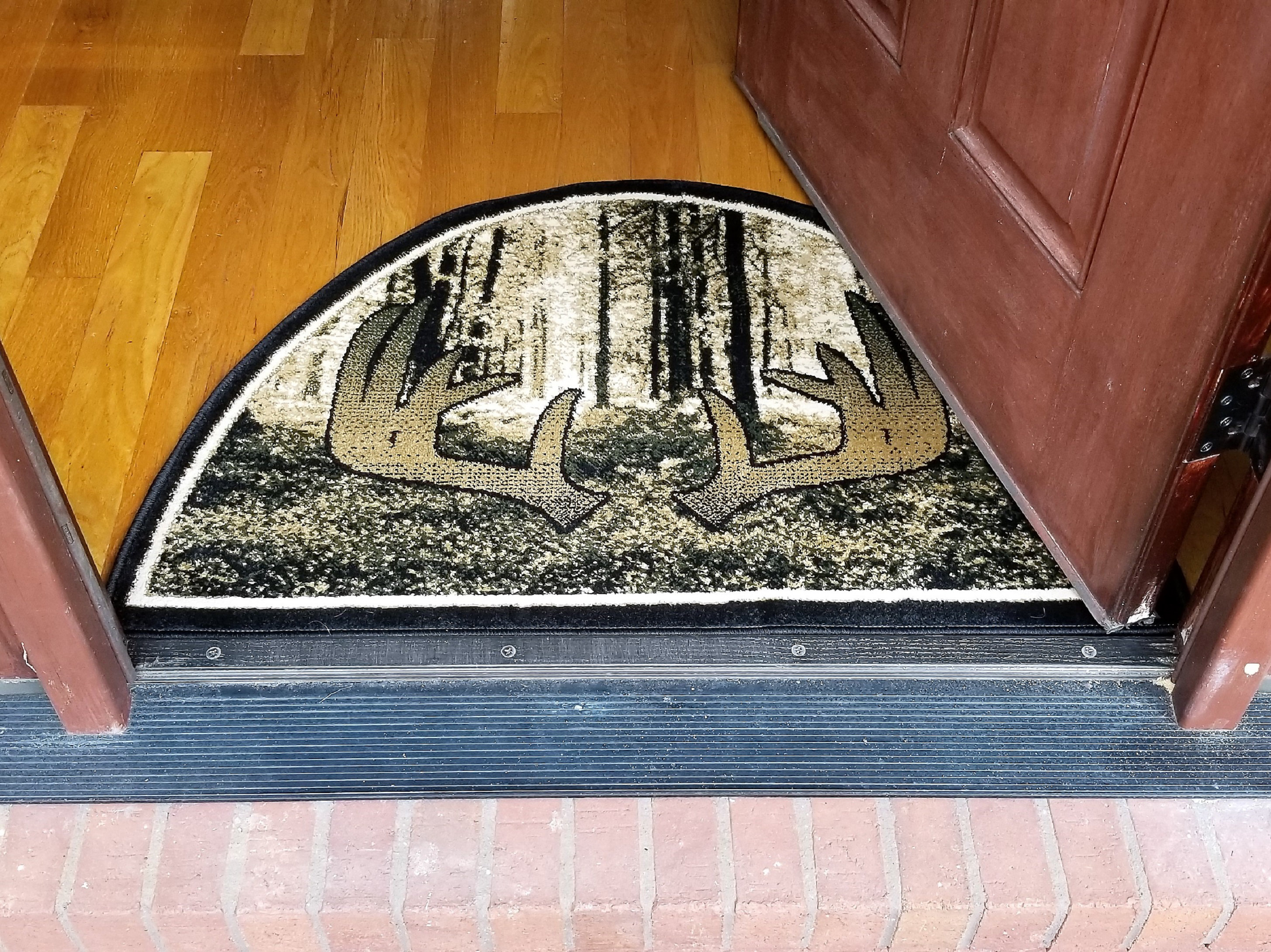 Millwood Pines Soleil Attractive Indoor Outdoor Area Rug Wayfair Ca