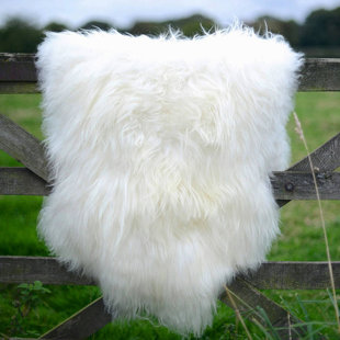 White Sheepskin Rugs You Ll Love Wayfair Giant Size Genuine Sheepskin Soft Wool White Area Rug