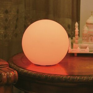 Indoor/Outdoor Full Moon Table Lamp