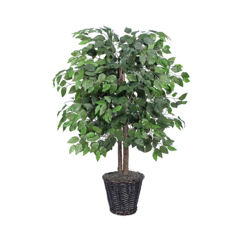 Charlton Home Artificial Potted Natural Ficus Tree in Basket & Reviews