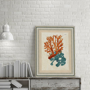 Teal And Orange Wall Art Wayfair Teal And Orange Seaweed Ii Framed Graphic Art Print