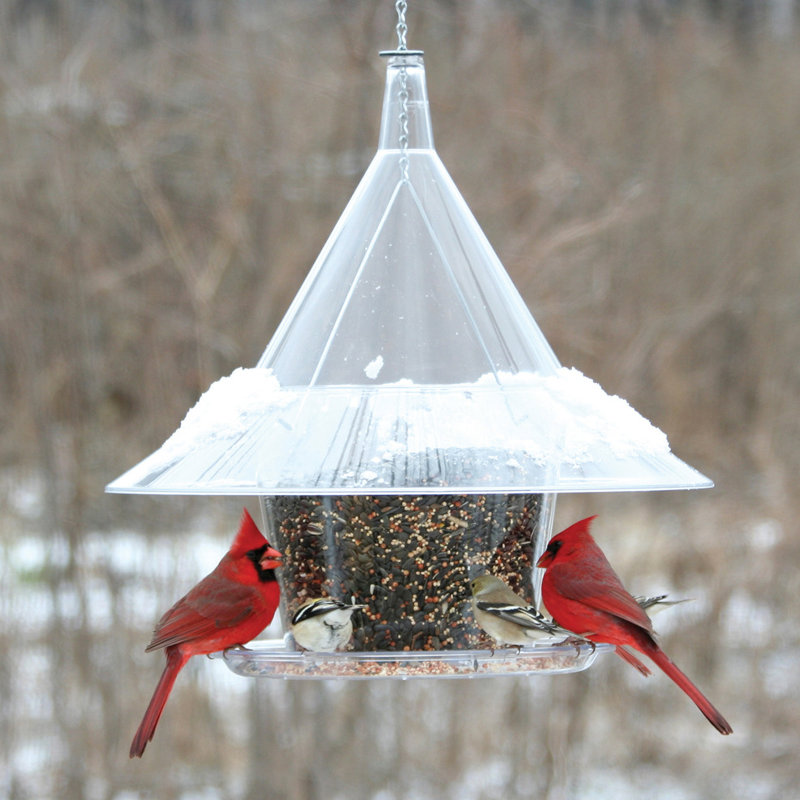 Arundale Sky Cafe Hopper Bird Feeder & Reviews Wayfair