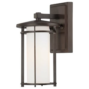 Bradshaw 1-Light Outdoor Wall Lantern