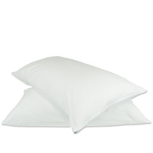 Plain Zipper Pillow Protector (Set of 2) by Alwyn Home