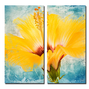 Canvas Wall Paintings Wayfair Painted Petals Xvii 2 Piece Painting Print On Canvas Set