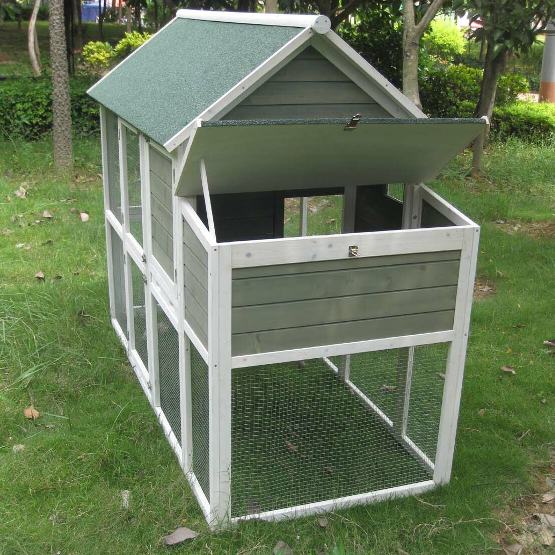 Coops And Feathers Superior Chicken House With Chicken Run