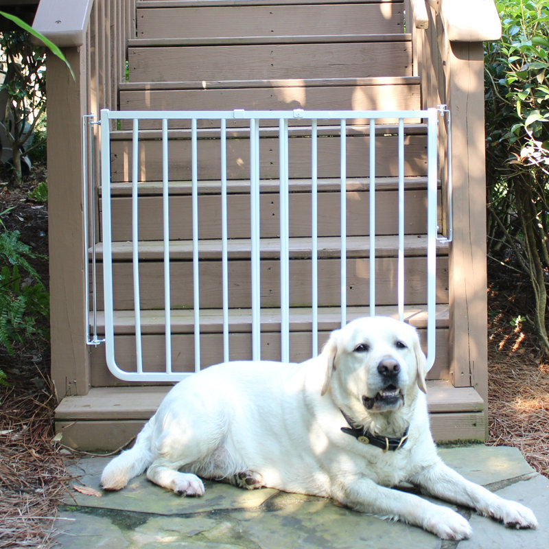 Cardinal Gates Stairway Special Outdoor Gate & Reviews Wayfair