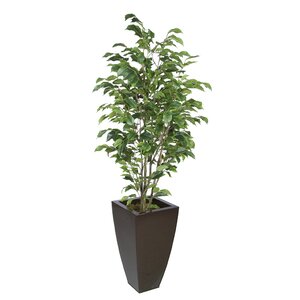 Synthetic Fabric Ficus Tree in Planter