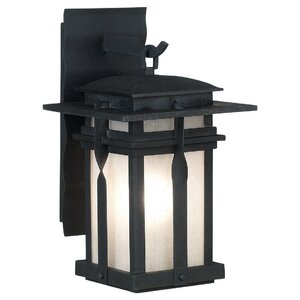 Carrington 1-Light Outdoor Wall Lantern