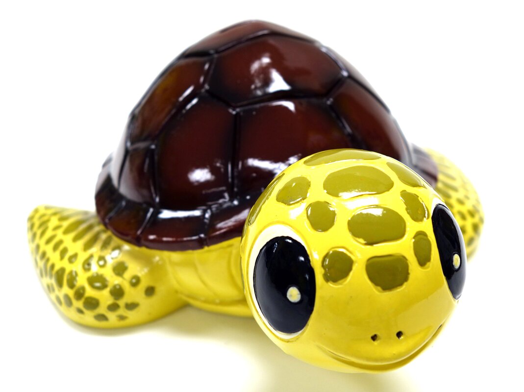 Kmpg Sea Turtle Jumbo Coin Bank & Reviews 