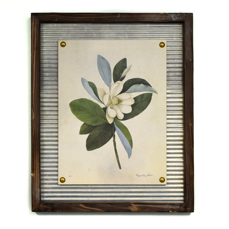 Lark Manor 'Flowering Magnolia' Framed Graphic Art Print & Reviews Wayfair
