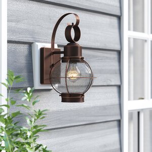 Cosgrove 1-Light Outdoor Wall Lantern