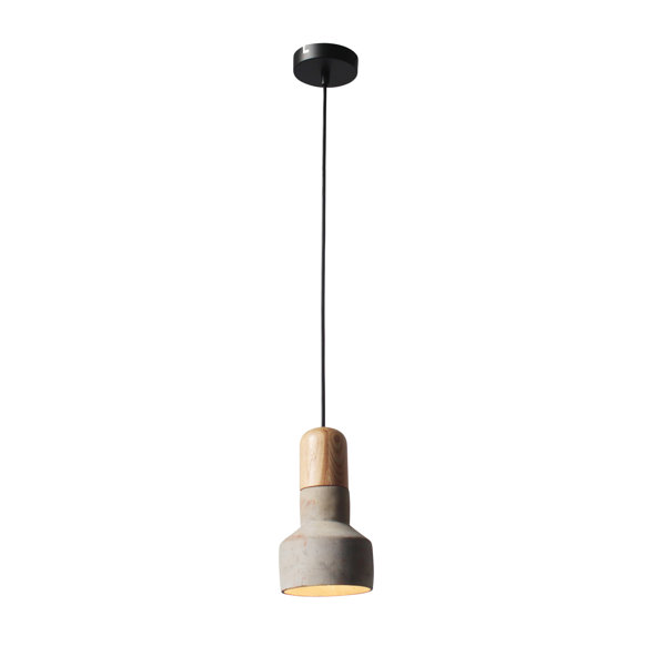 Light Society Rochester 1 Bell Pendant Reviews Wayfair