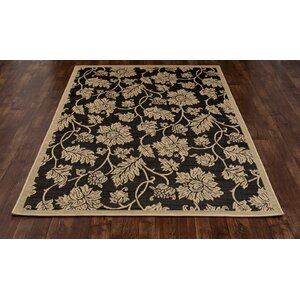 Plymouth Black/Beige Indoor/Outdoor Area Rug