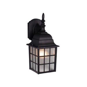 Vista 1-Light Outdoor Wall Lantern