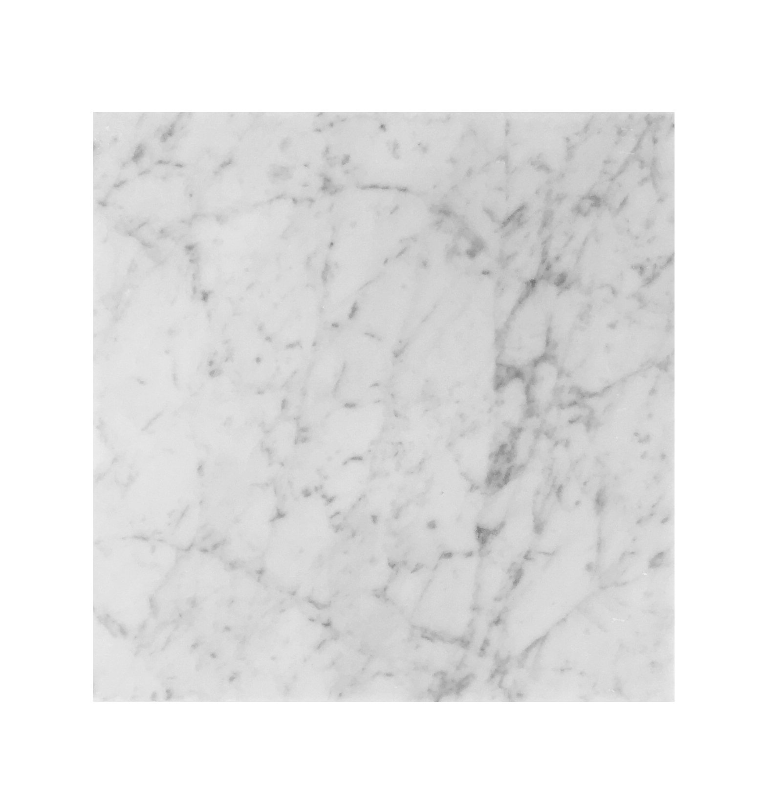Seven Seas Bianco Carrara 12 X Marble Field Tile In Gray Wayfair