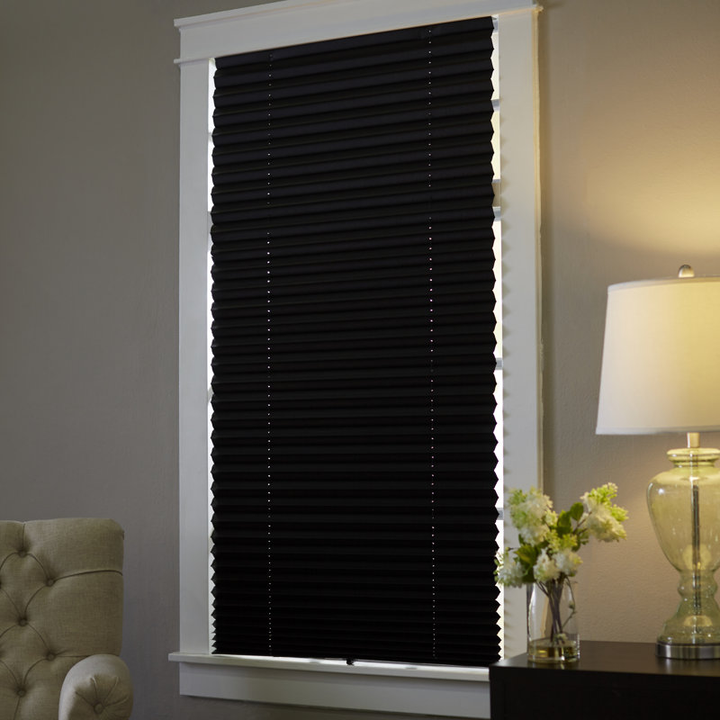 Wayfair Basics™ Wayfair Basics Room Darkening Pleated Shade & Reviews
